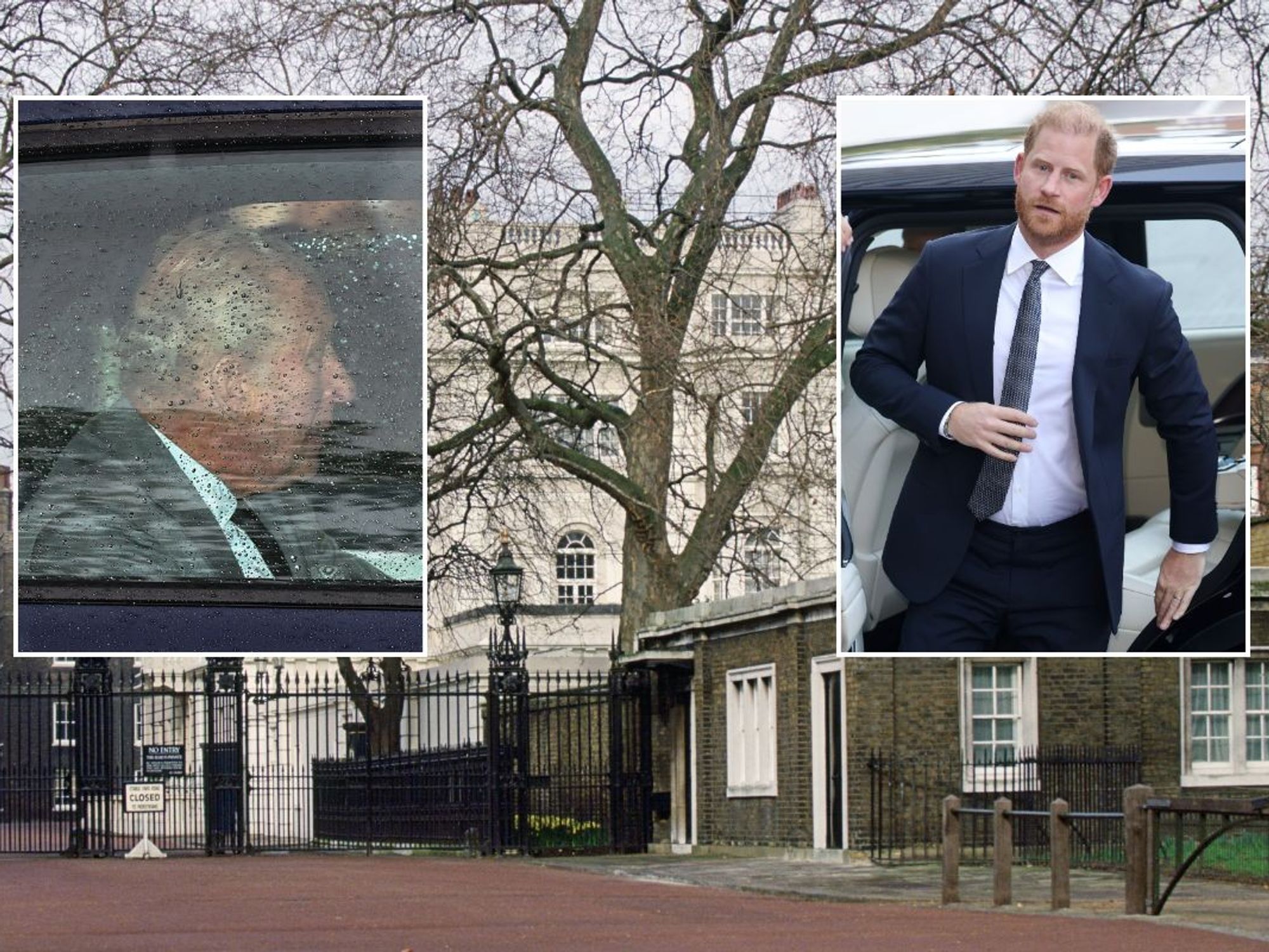 King Charles, Prince Harry