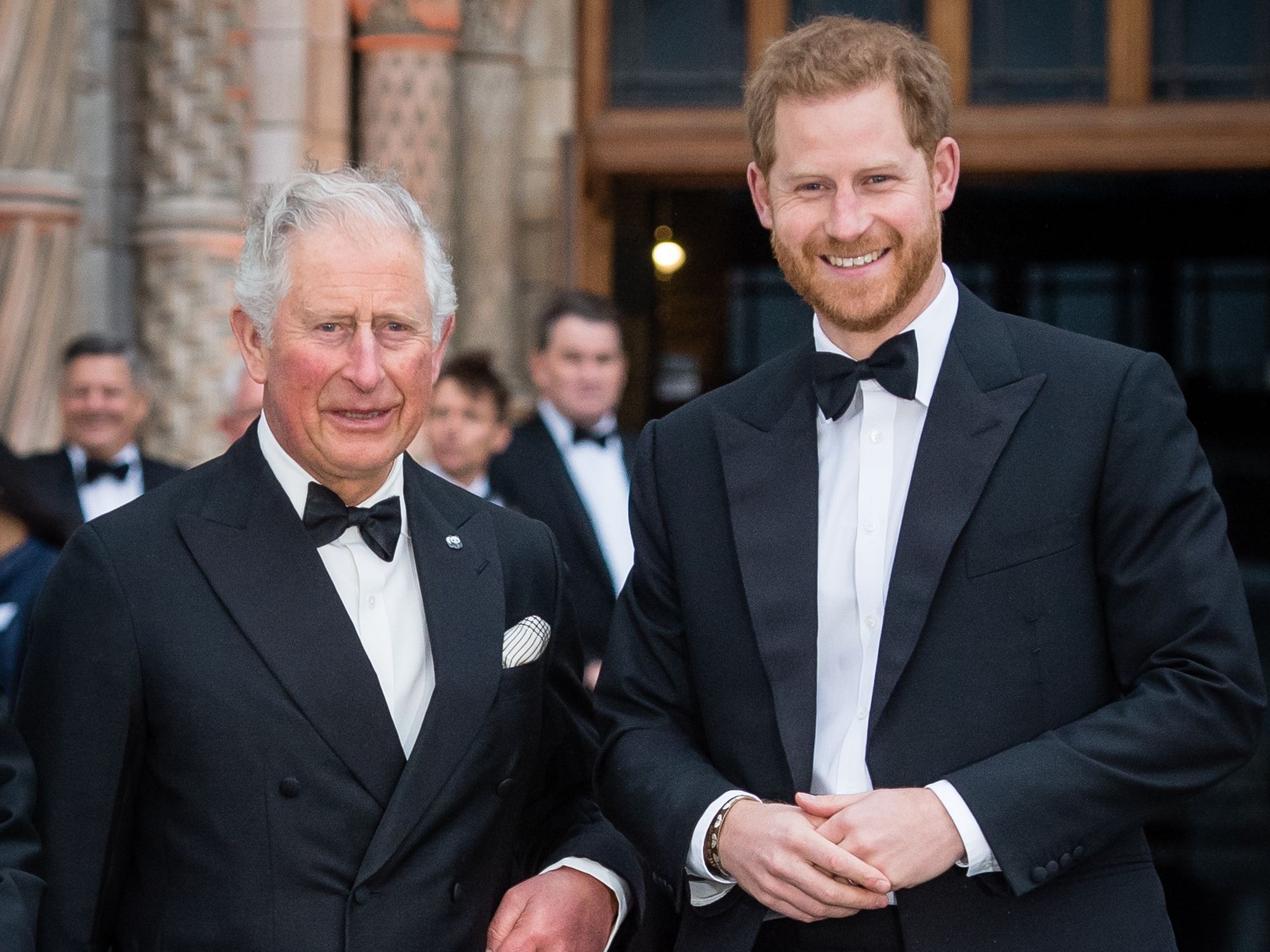 King Charles, Prince Harry