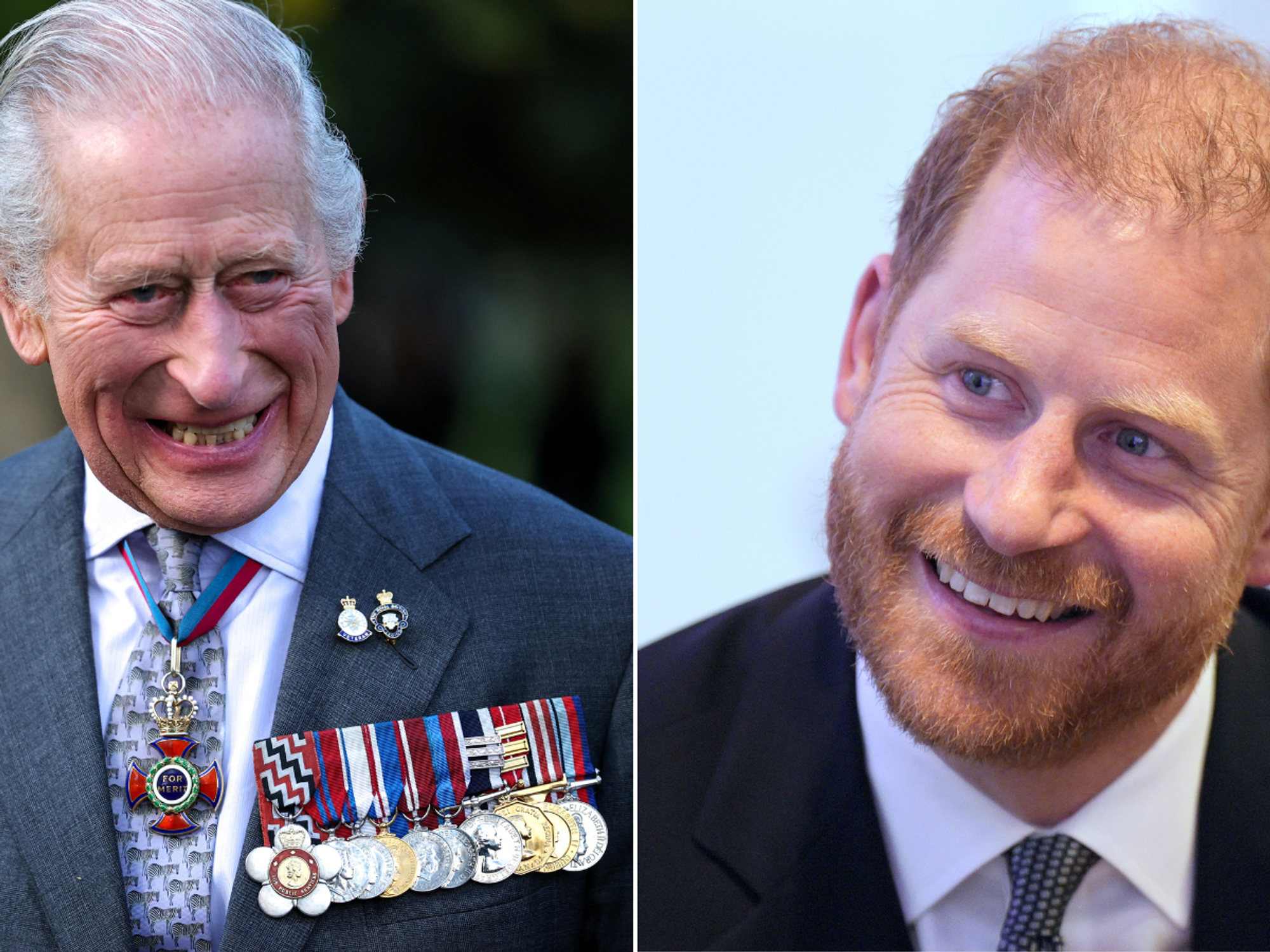 King Charles, Prince Harry