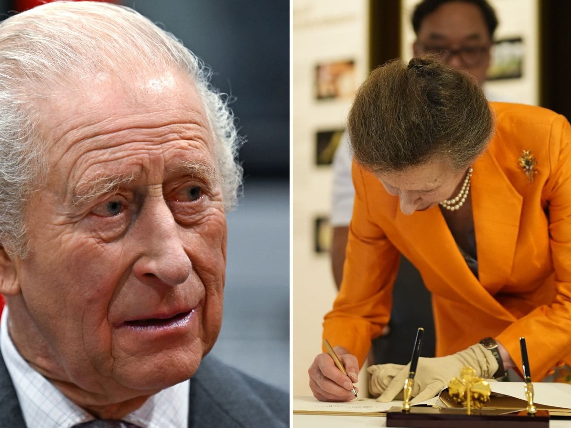 King Charles, Princess Anne