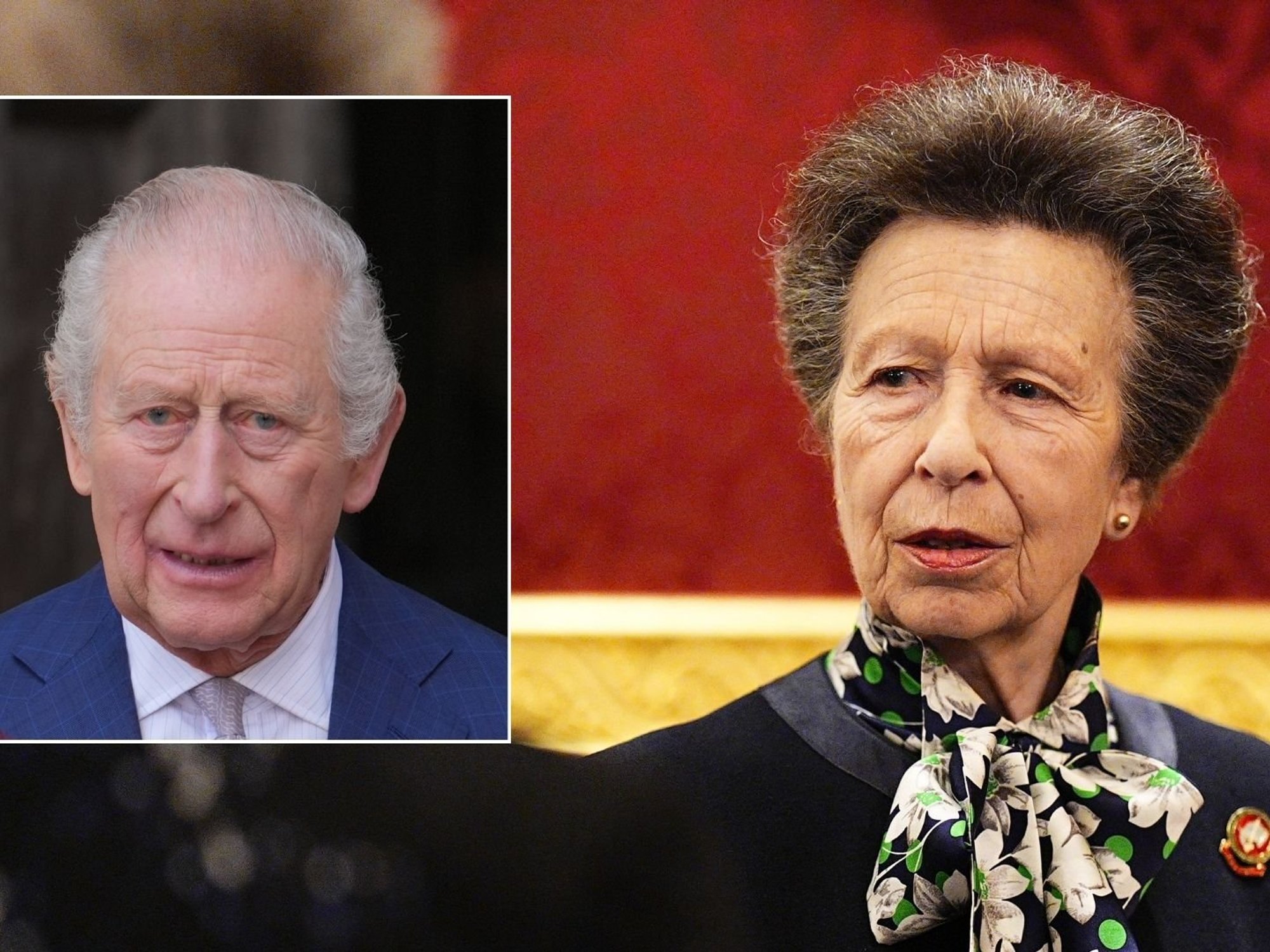 King Charles, Princess Anne