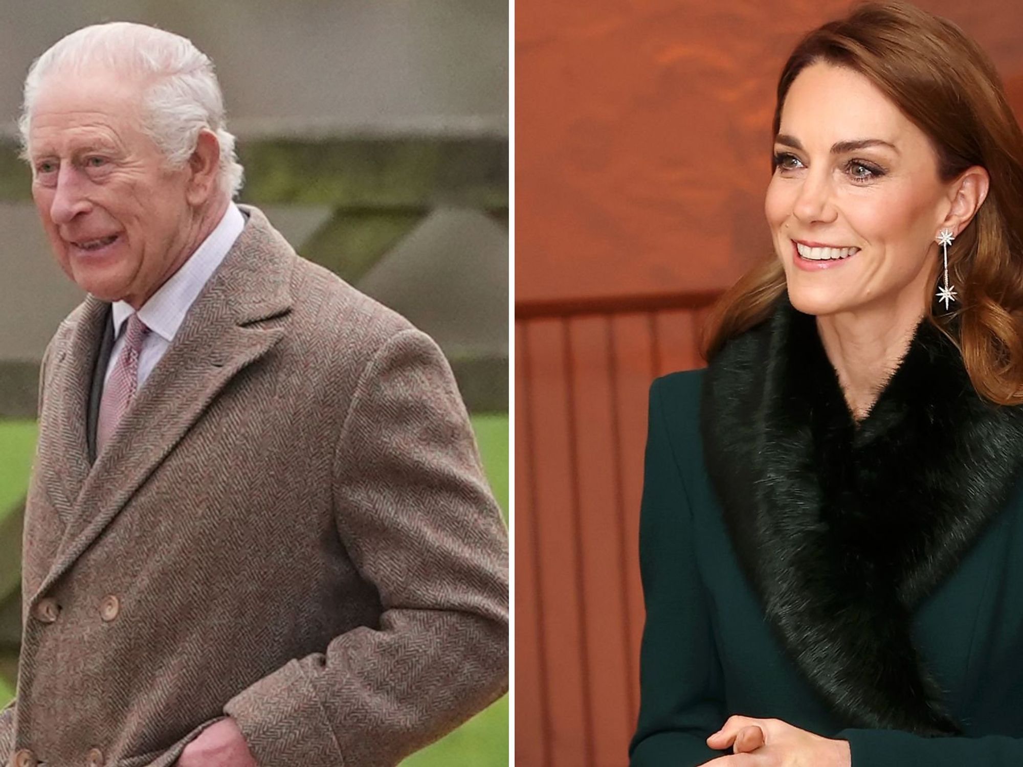 King Charles, Princess Kate