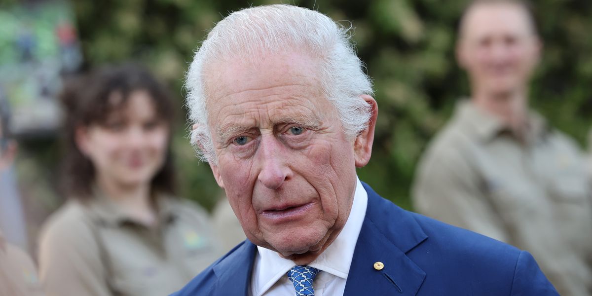 NextImg:King Charles was 'taken aback' after protester told him 'you are not my King'