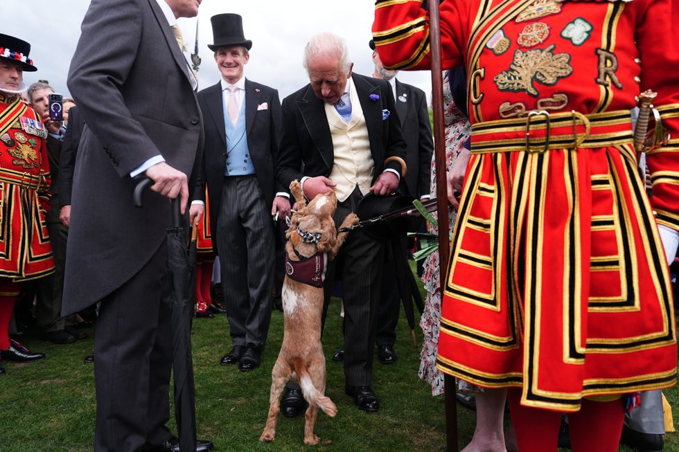 King Charles