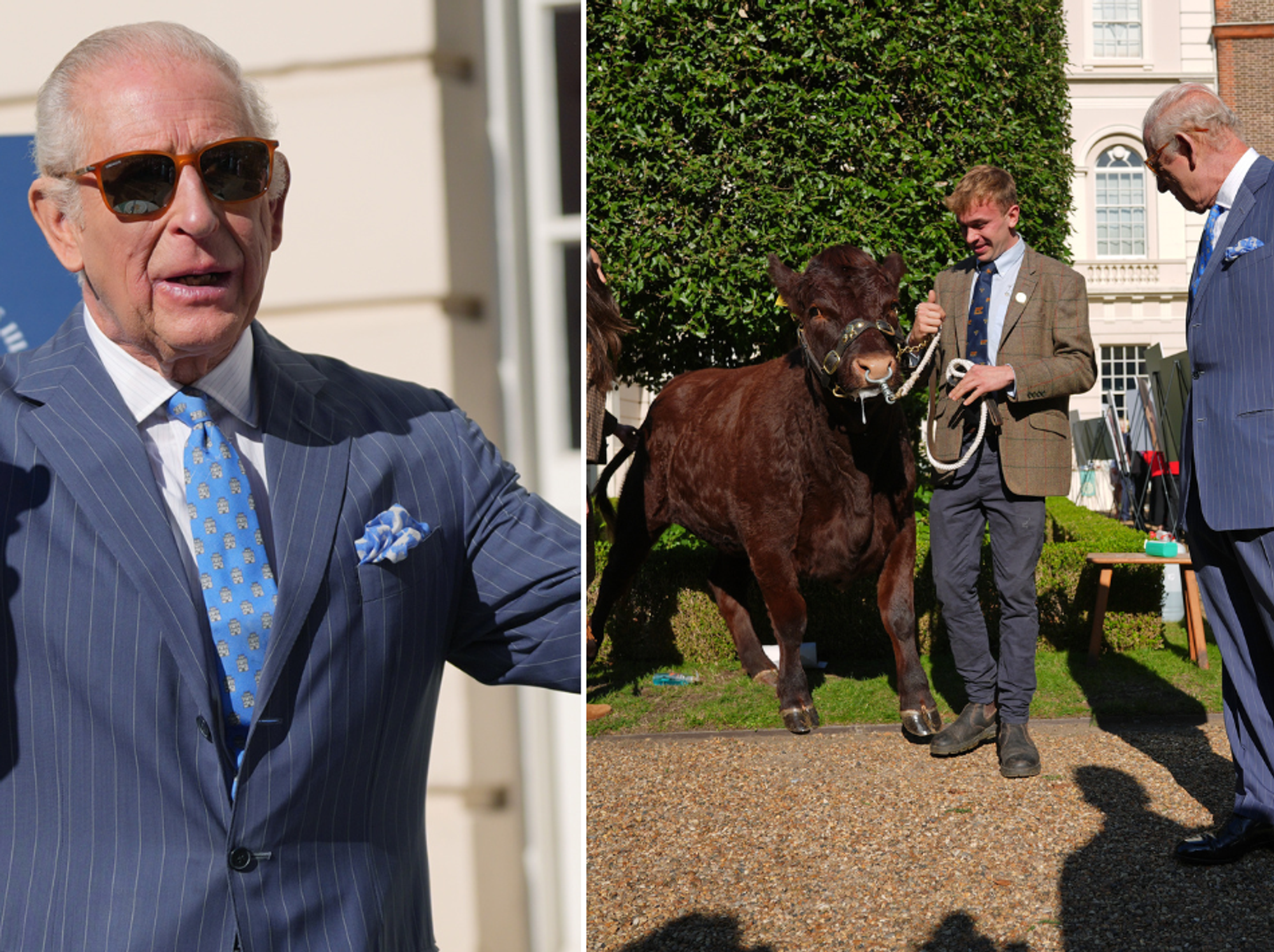 King Charles
