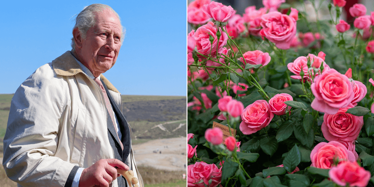 King Charles drives Chelsea Flower Show to change rule for only second time in history King Charles drives Chelsea Flower Show to change rule for only second time in history