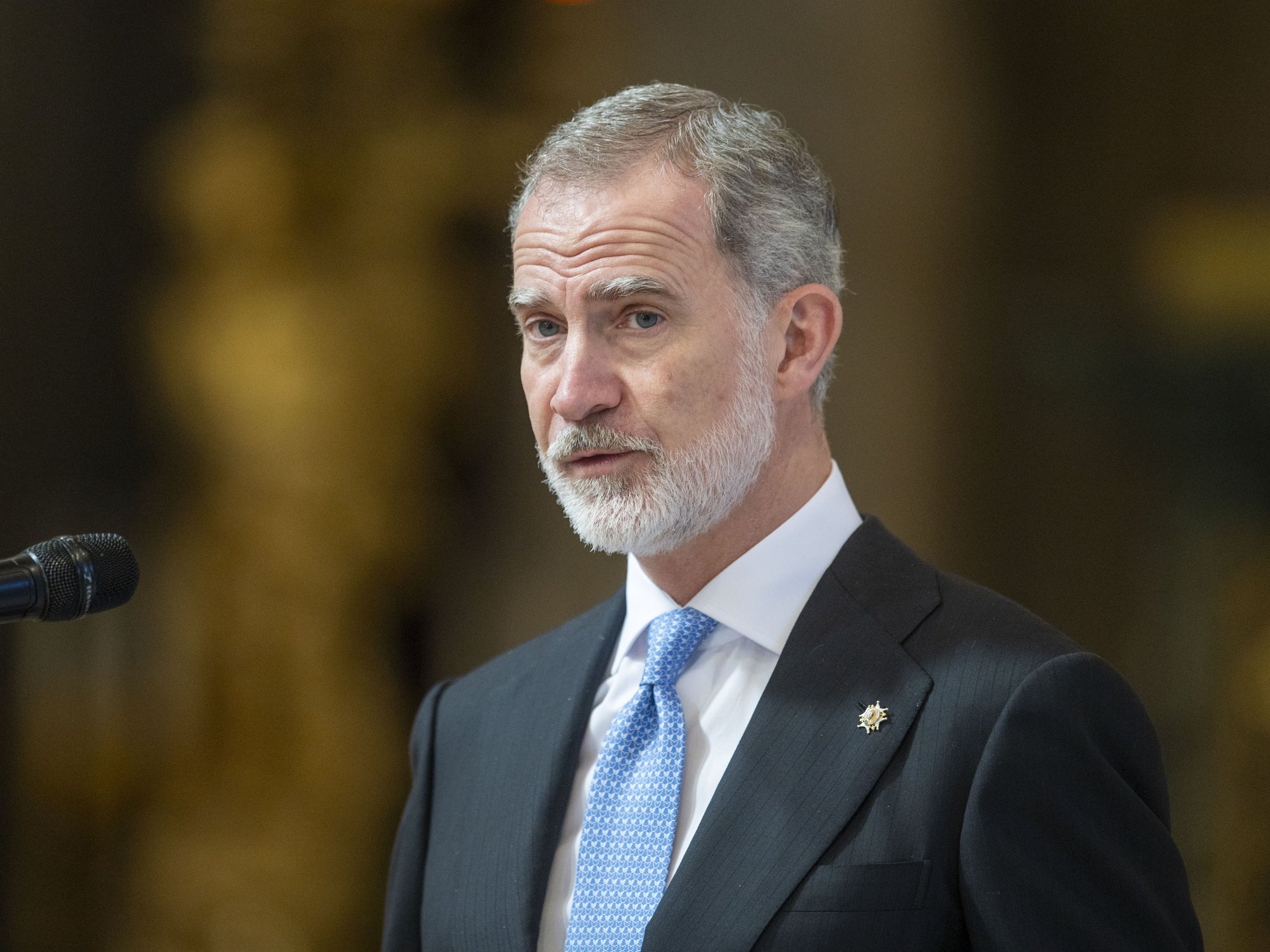 King Felipe VI of Spain