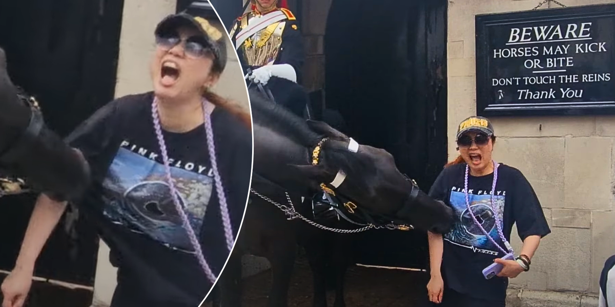 NextImg:Woman screams and faints after King's Guard horse bites down hard on her arm