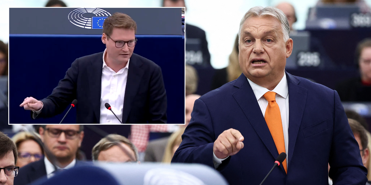 NextImg:German MEP brutally slams Viktor Orban as 'useful idiot of Russia and China' for allowing 'spies into Schengen zone'