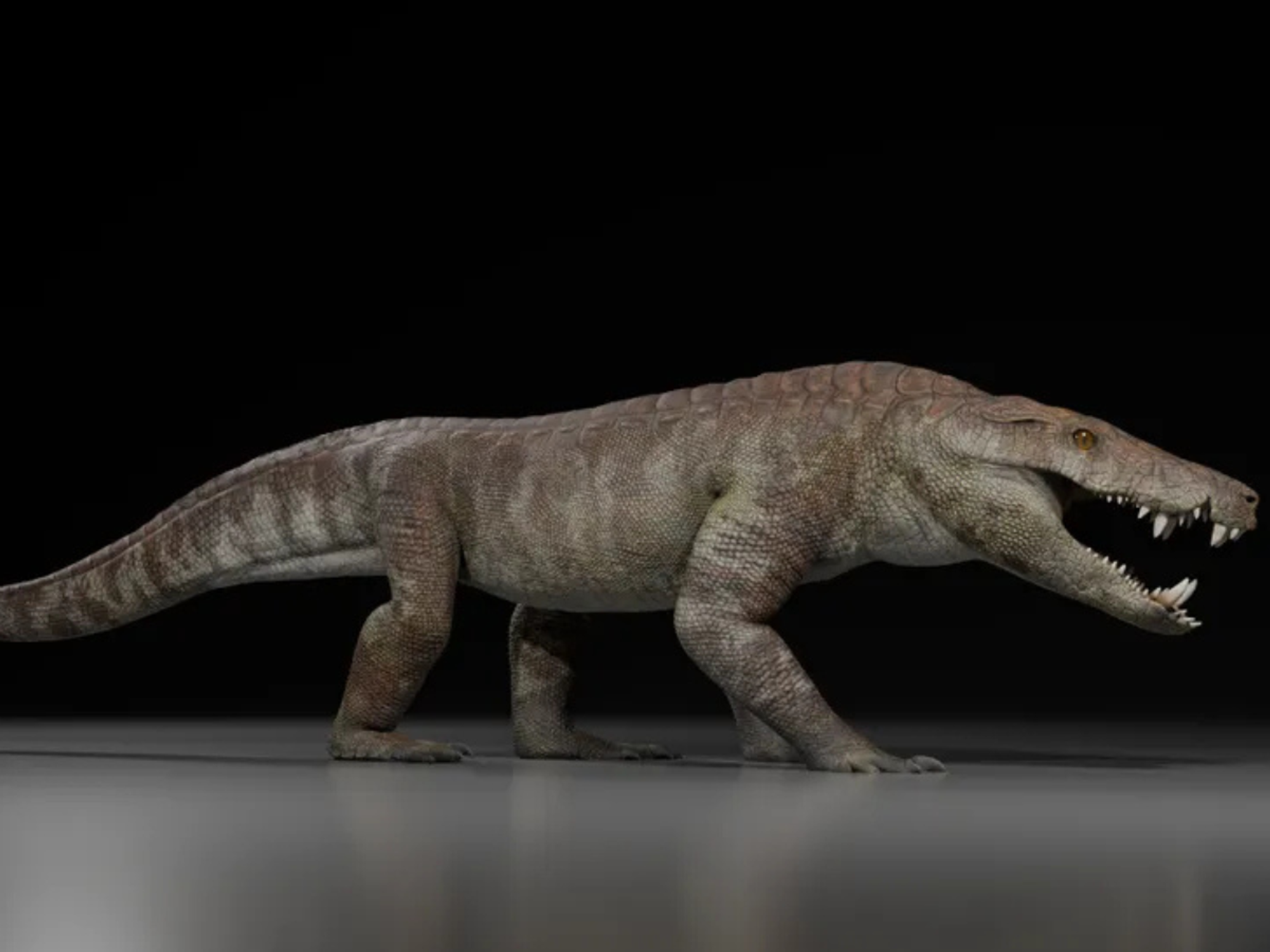 Kostensuchus atrox