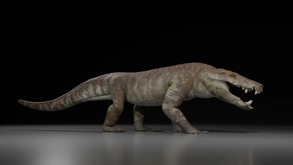Kostensuchus atrox
