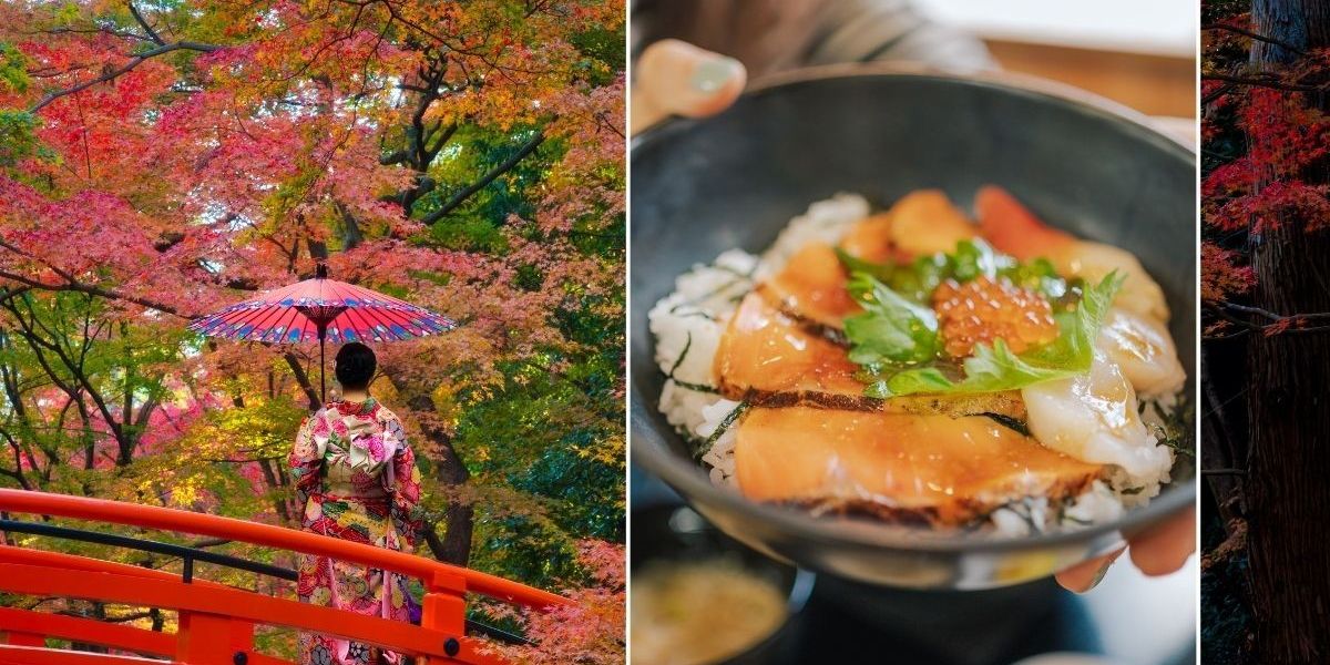 Asian city where the food scene and affordable housing is a ‘major draw’ for retiring expats Asian city where the food scene and affordable housing is a ‘major draw’ for retiring expats