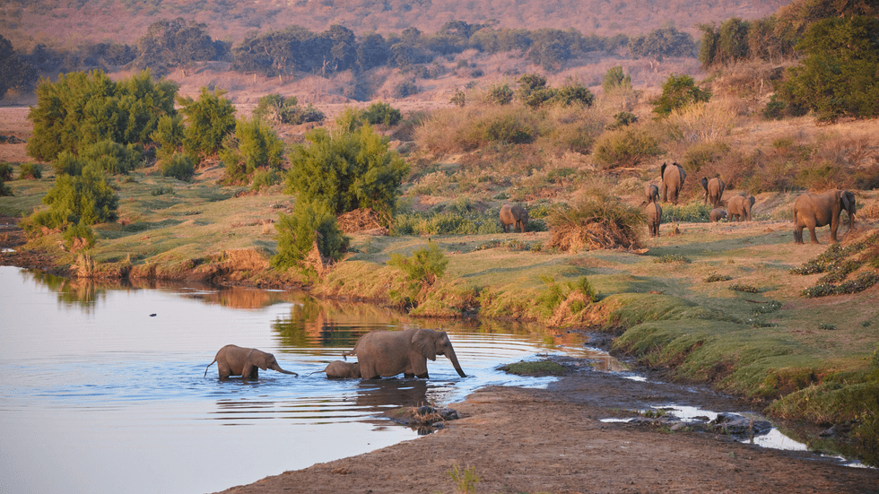 Kruger National Park