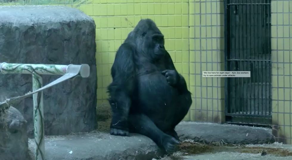 Kyiv Zoo is home to approximately 4,000 animals