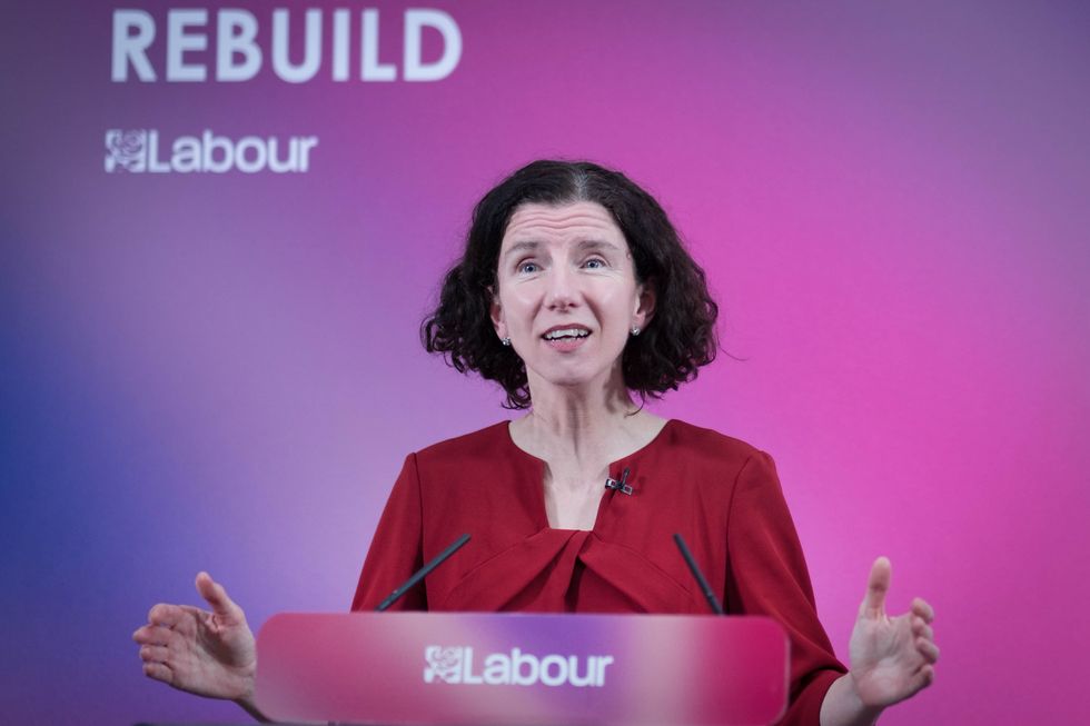 Labour Party chairwoman Anneliese Dodds