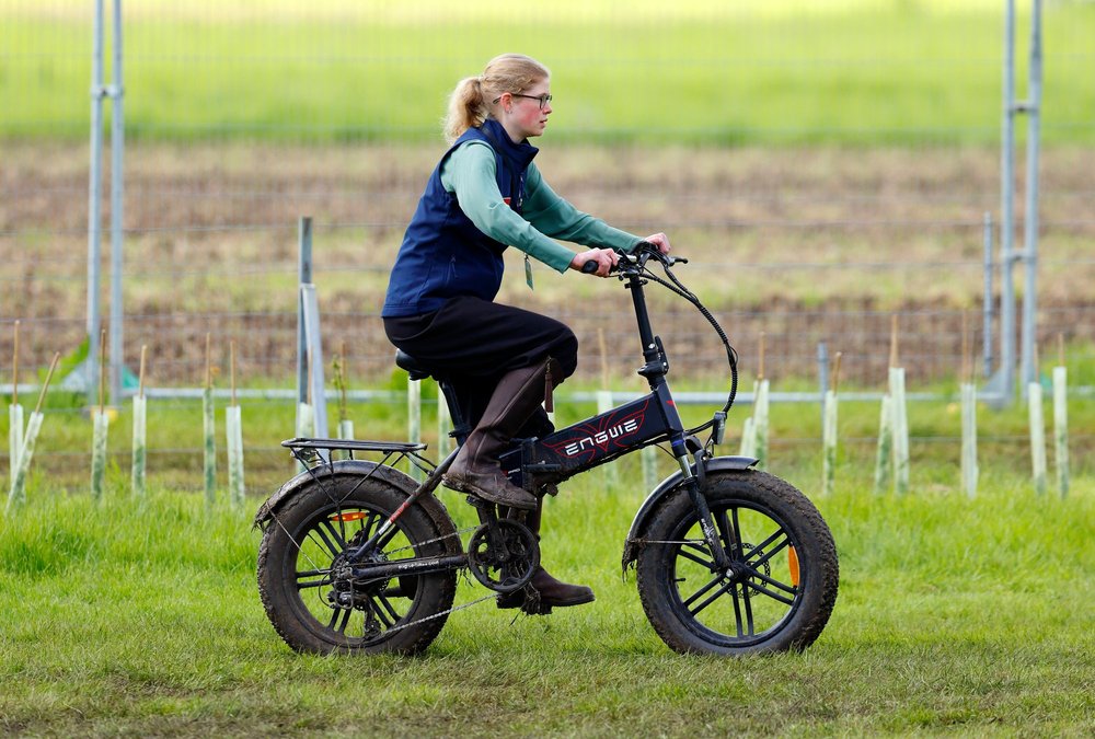 Lady Louise Windsor