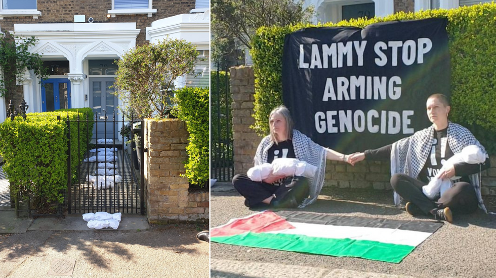 Lammy Palestine protest