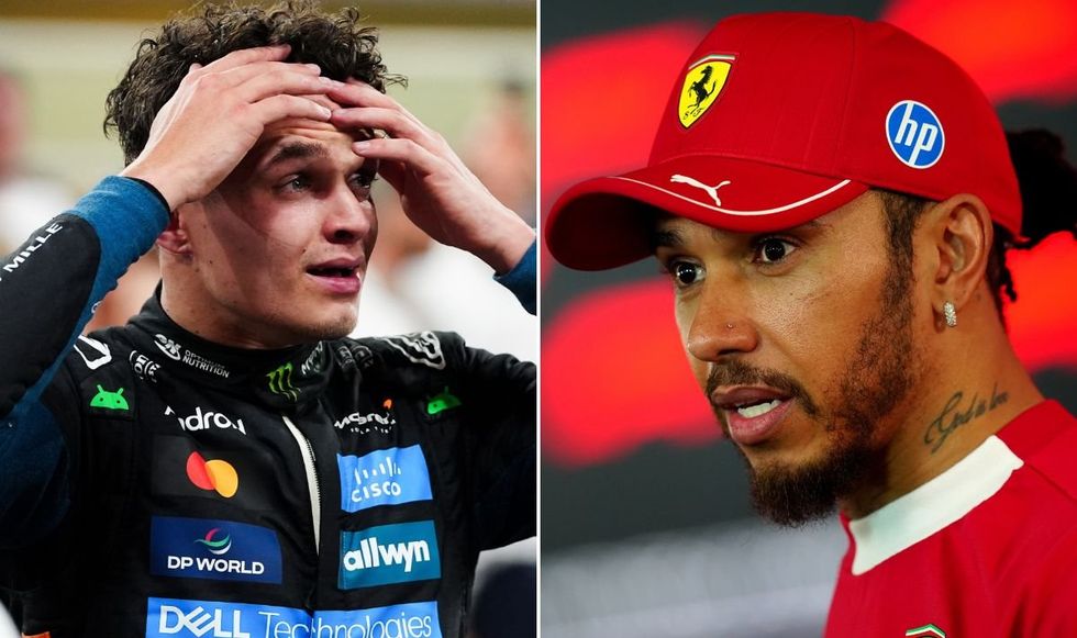 Lando Norris has challenged Lewis Hamilton to fight him for the title
