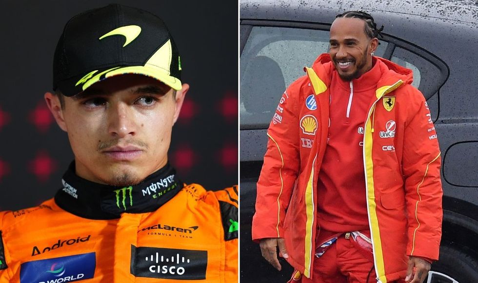 Lando Norris Lewis Hamilton