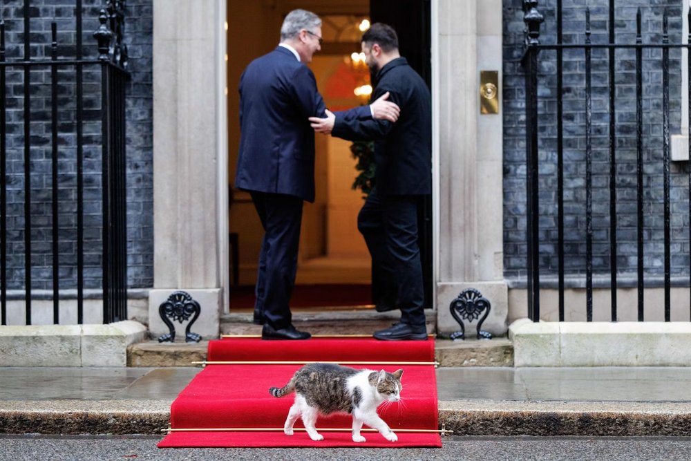 Larry the cat