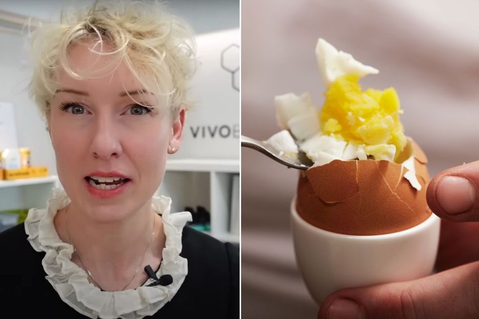 laura try and egg stock