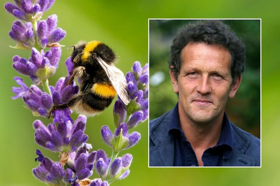 lavender and monty don headshot