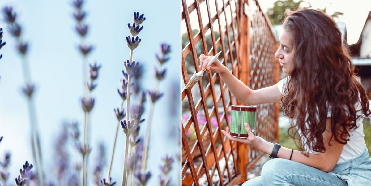 NextImg:Gardening: Britons can create an outdoor 'haven' with cheap hacks including 35p saviour, says expert