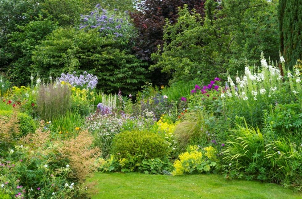 lawn stock image
