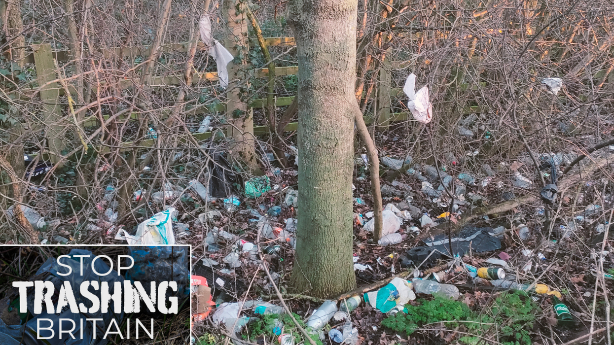 Lay-by litter