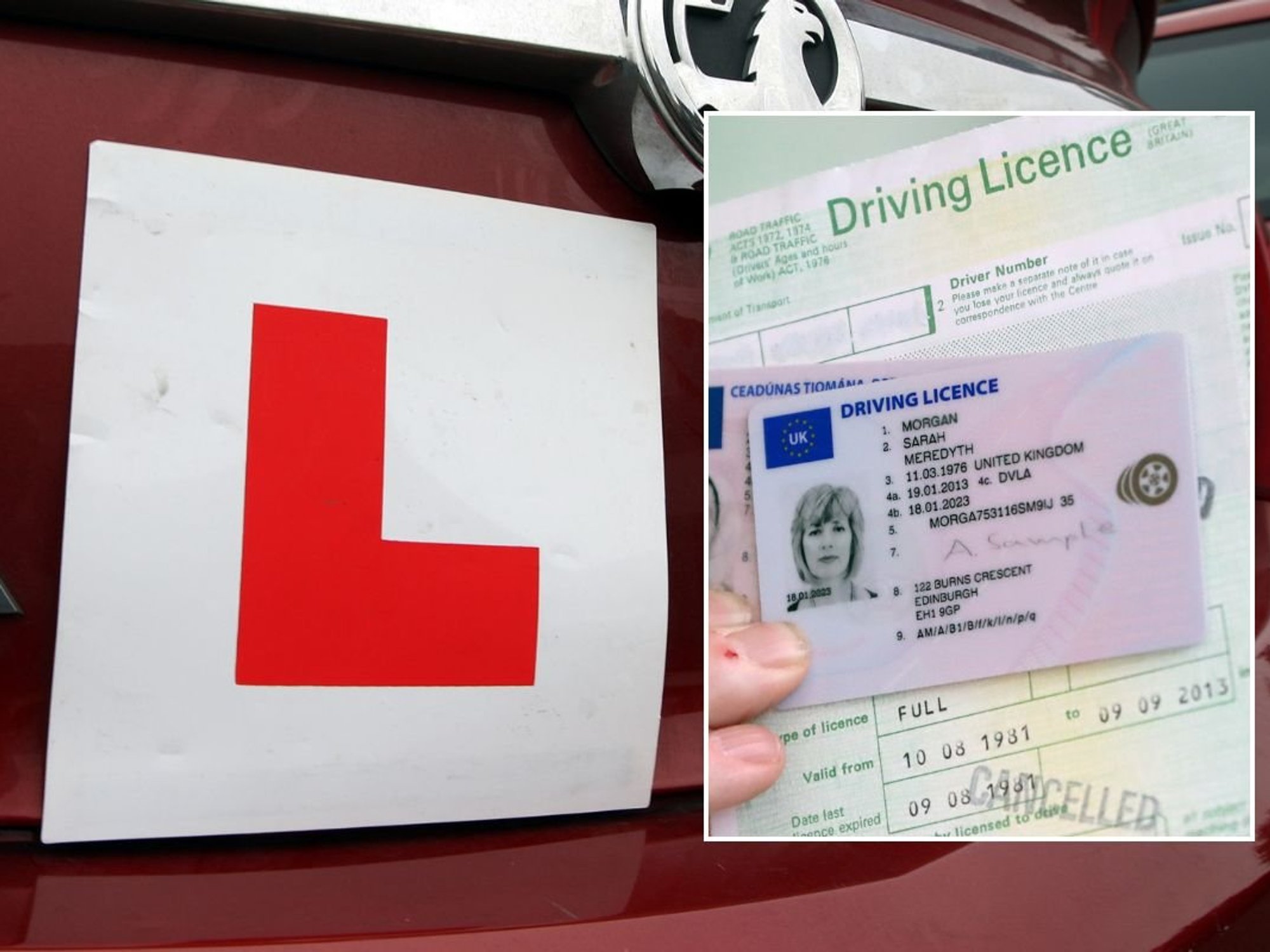 Learner plate and a DVLA driving licence