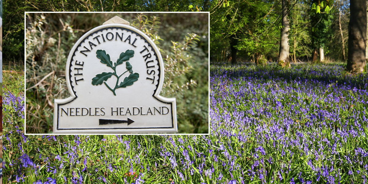 NextImg:National Trust blocks vote aimed at ending woke policies imposed without proper scrutiny