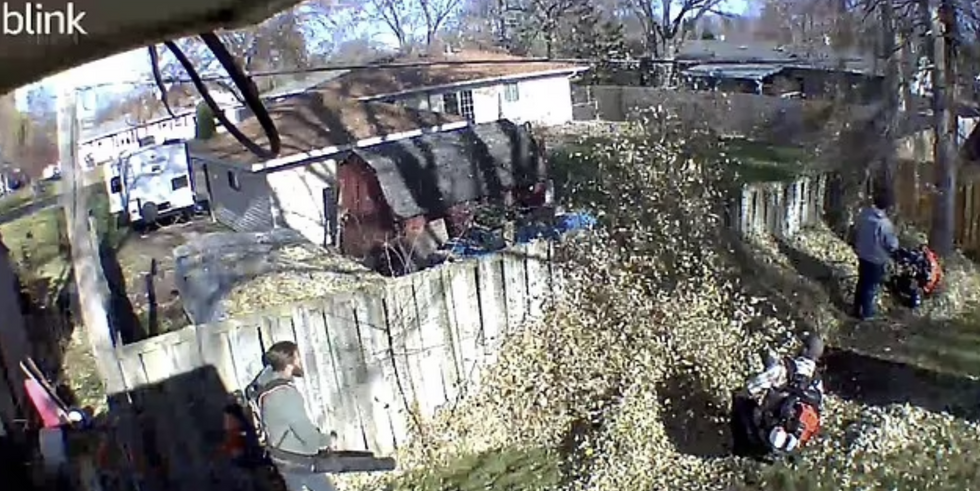 Leaves being blown over a fence