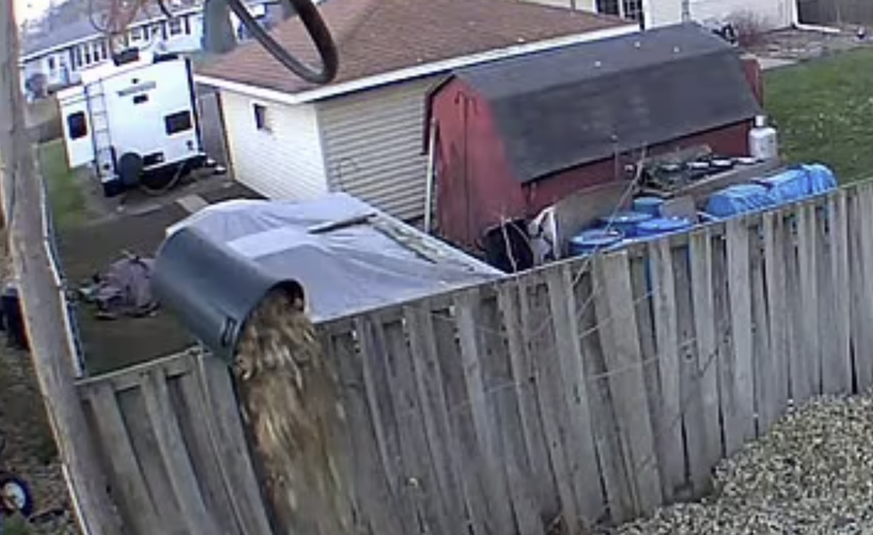 Leaves being dumped over the fence