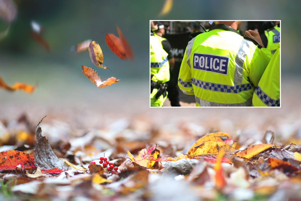 Leaves, Nottinghamshire Police (file pic)