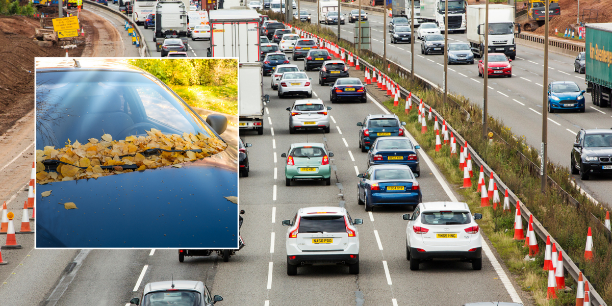 NextImg:Motorists risk £1,000 penalties this autumn for 'compromising' road safety - 'Hazardous conditions'