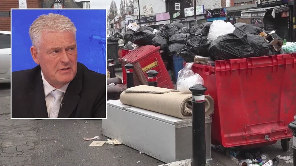 Lee Anderson, Birmingham bins