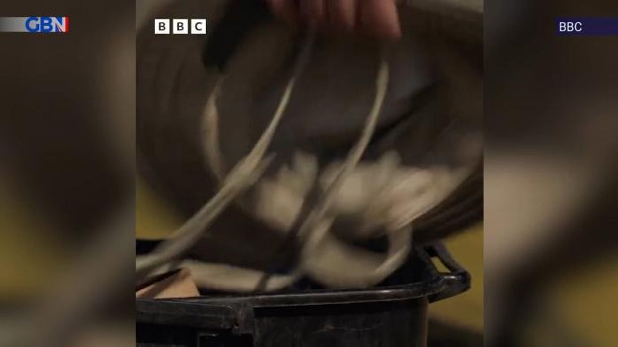 BBC blasted for going 'woke' as it hires vegan comedian to host fishing show: 'Completely ruined'