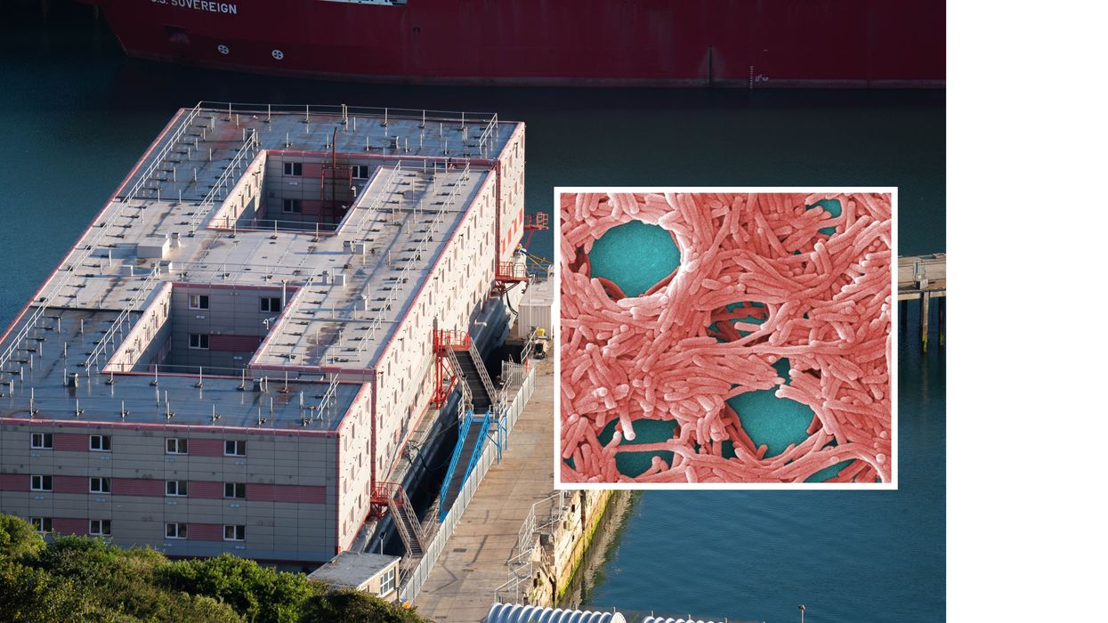 Asylum seekers moved off Bibby Stockholm barge after Legionella bacteria found