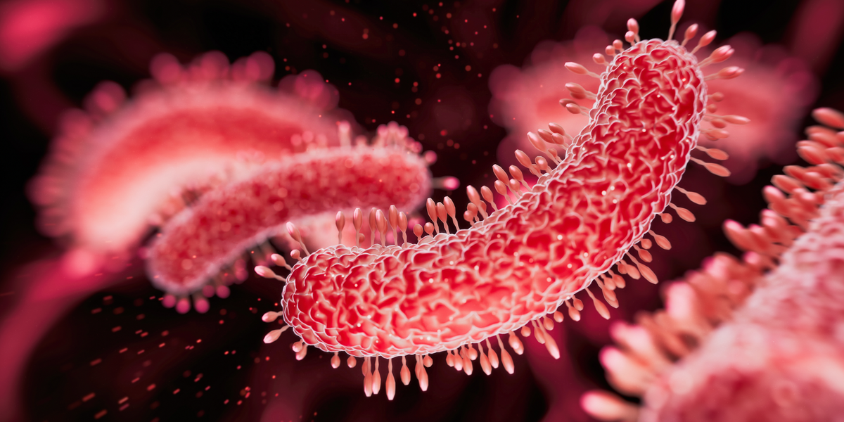 NextImg:Urgent health warning as three die and dozens infected as bacteria outbreak ravages tourist hotspot