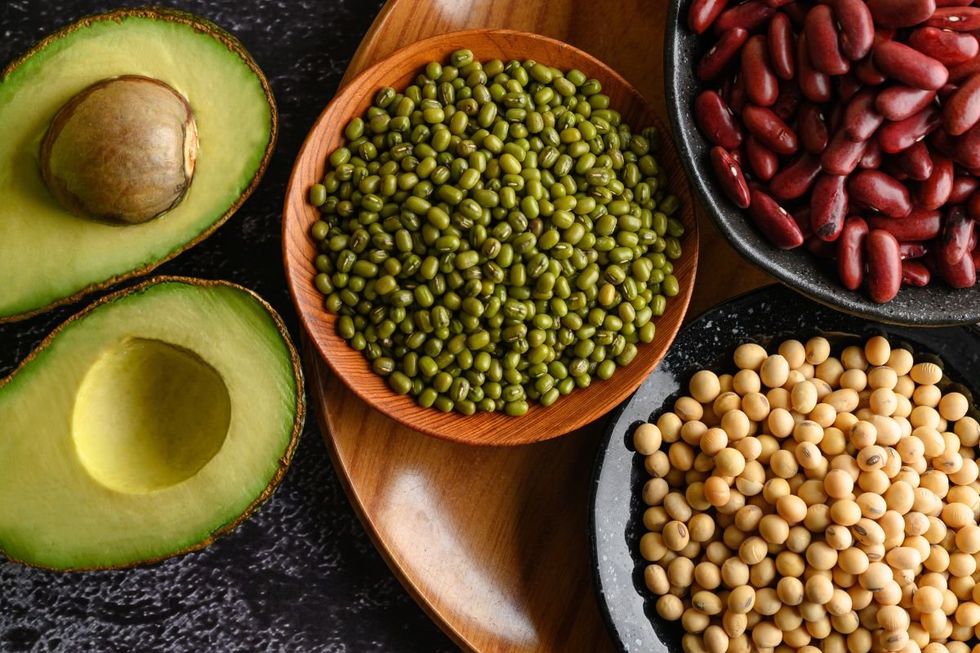 LEGUMES AND INTESTINE ILLUSTRATION