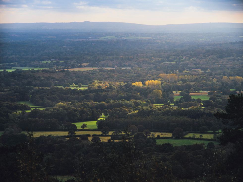 Leith Hill, Surrey