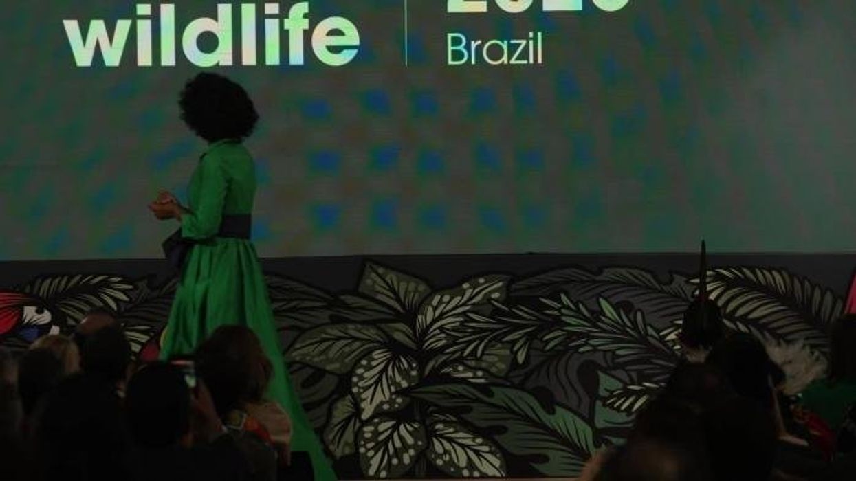 Leonardo DiCaprio makes surprise appearance at important summit with Prince William