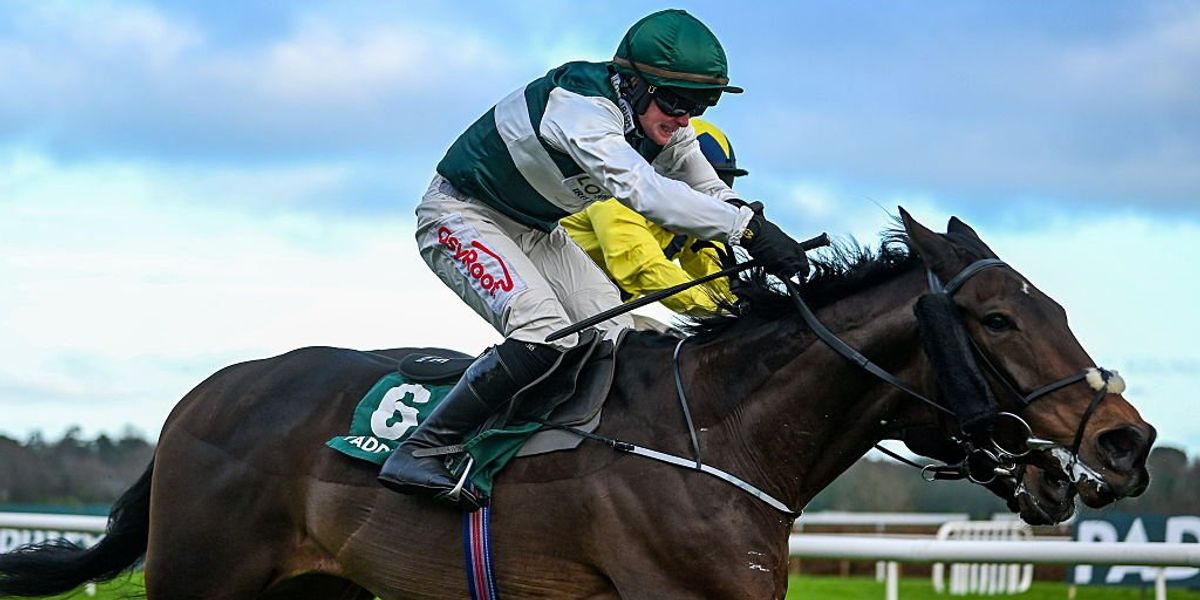 Dublin Racing Festival faces cancellation after severe flooding despite heroic clean-up mission Dublin Racing Festival faces cancellation after severe flooding despite heroic clean-up mission