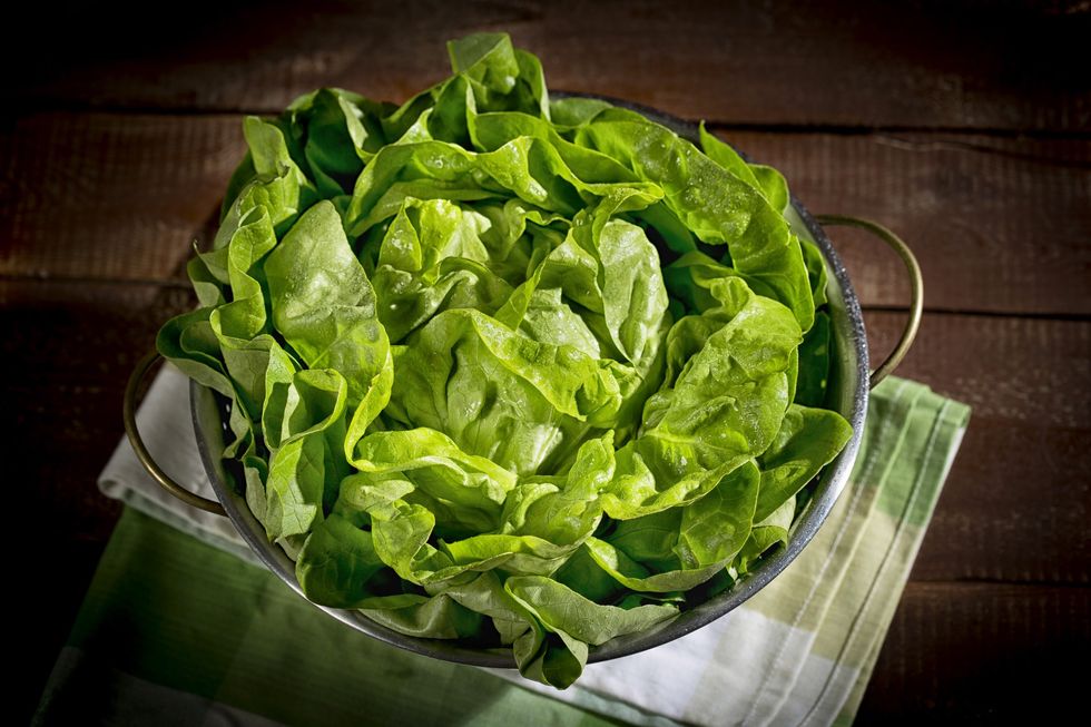 Lettuce in a colander