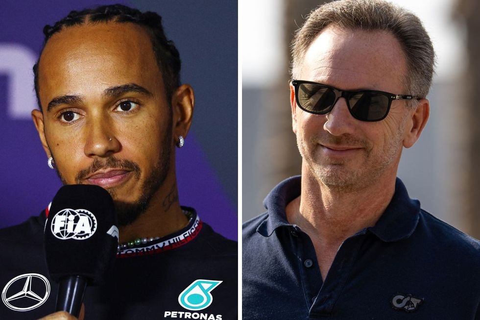 Lewis Hamilton Christian Horner