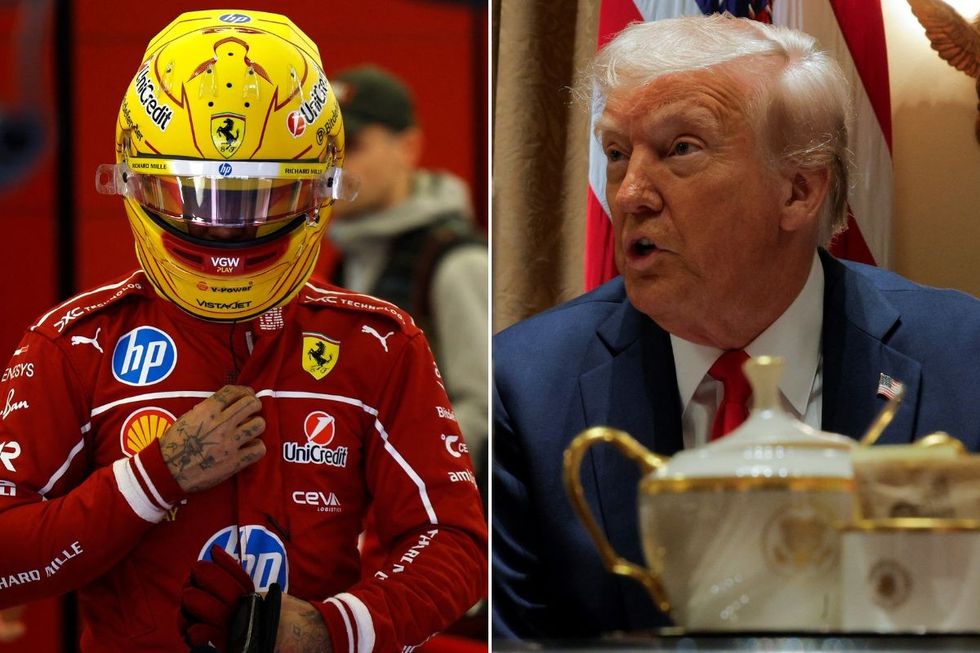 Lewis Hamilton Donald Trump