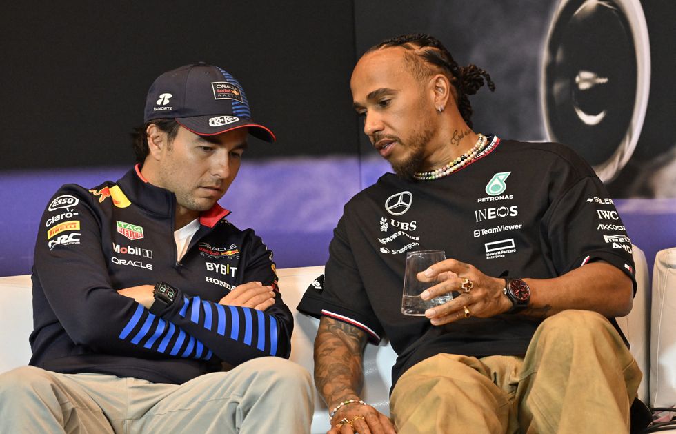 Lewis Hamilton has his reservations about the new regulations