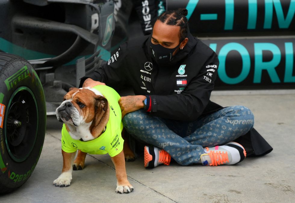 Lewis Hamilton, Roscoe