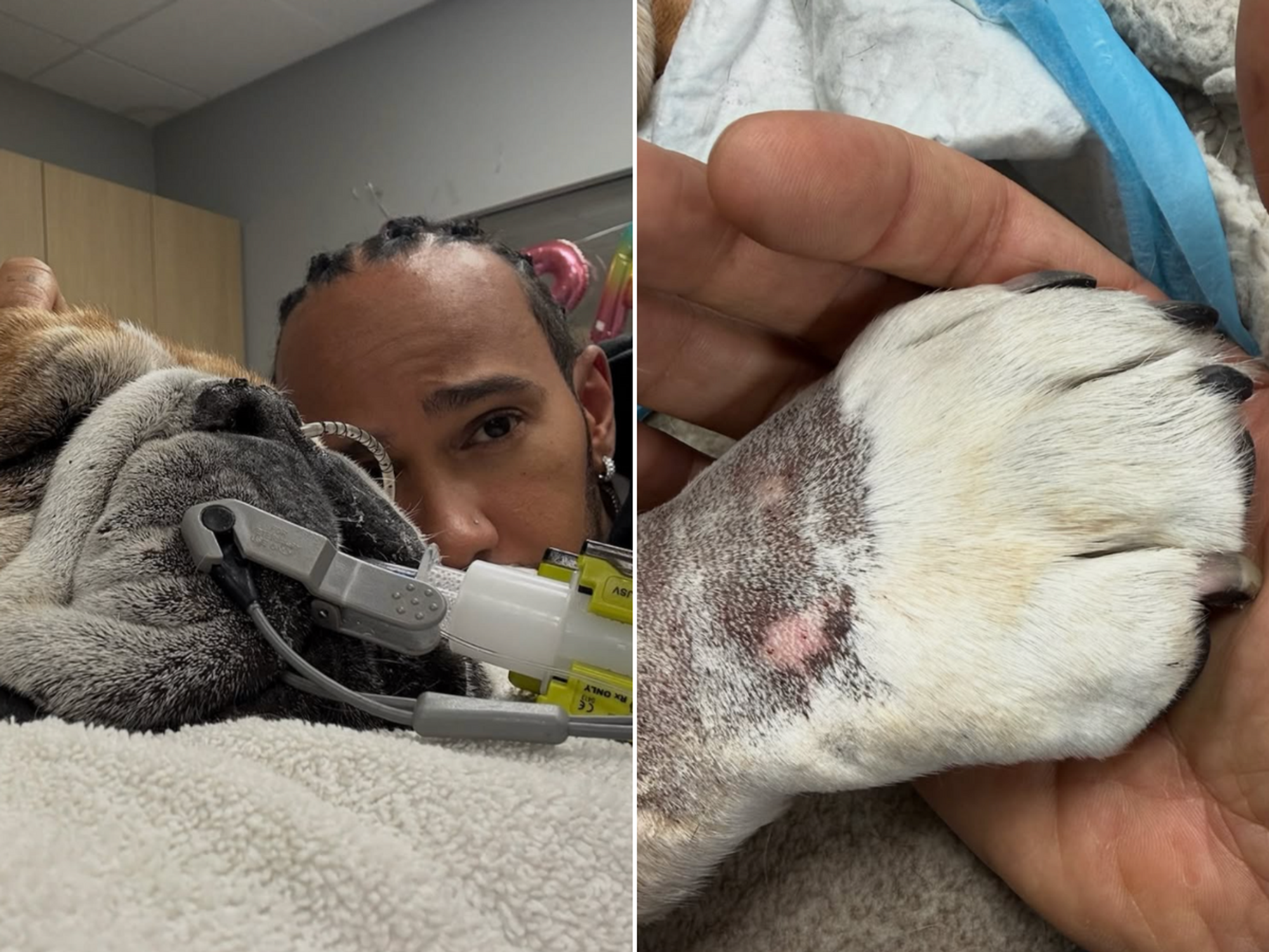 Lewis Hamilton, Roscoe