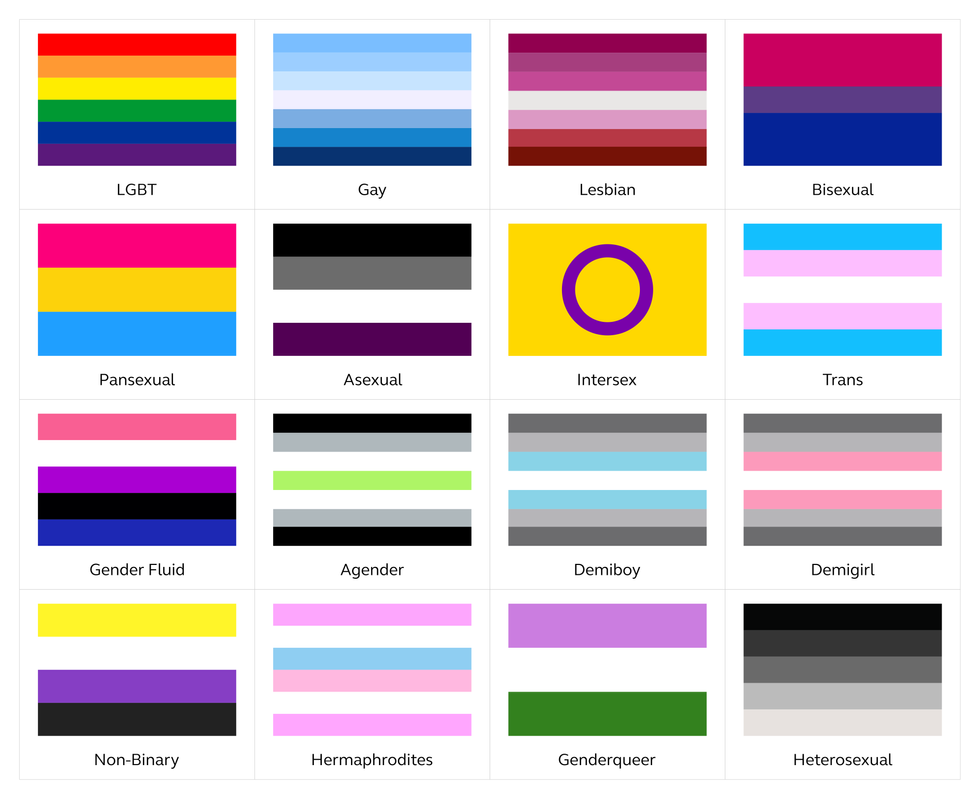 LGBT, Gay, Lesbian, Bisexual, Pansexual. Asexual, Intersex, Trans, Gender Fluid, Agender, Demiboy. Demigirl, Non-Binary, Hermaphroites, Genderqueer, and Heterosexual flags